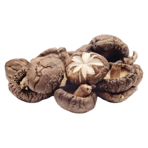 Hongos shiitake deshidratados 500g